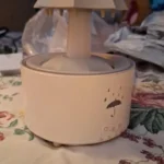 Delightful Hoanbox™ Oil Diffuser 3 in 1 Relaxing Rain Lamp Humidifier photo review