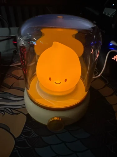 Flame Shaped Night Light With a Cute Design photo review